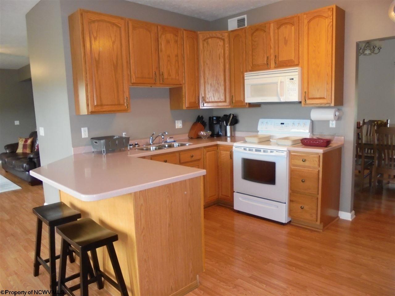 For Sale: 161 Filly Ln Bruceton Mills, WV 26525