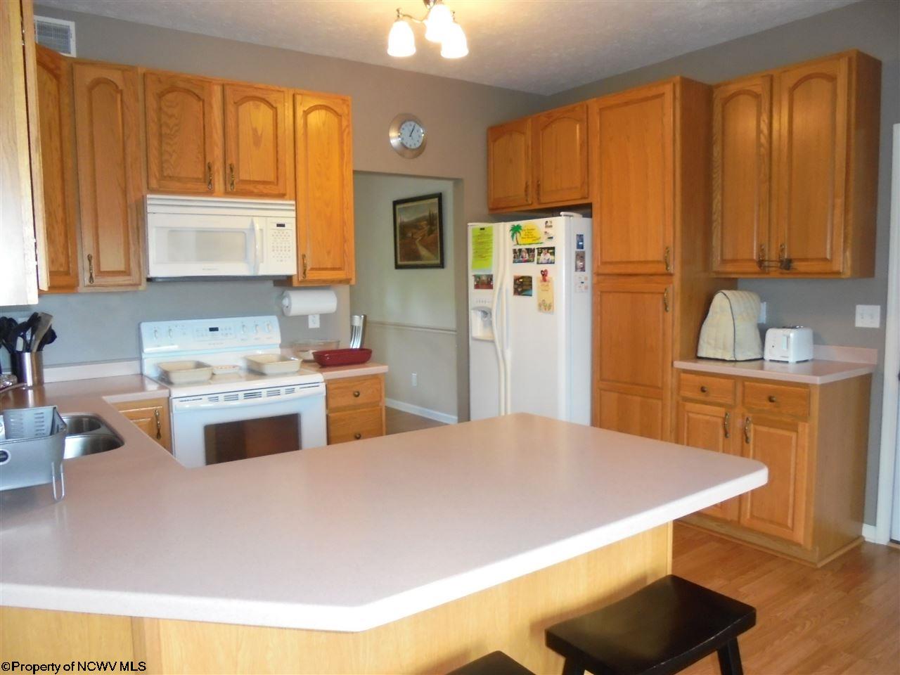 For Sale: 161 Filly Ln Bruceton Mills, WV 26525