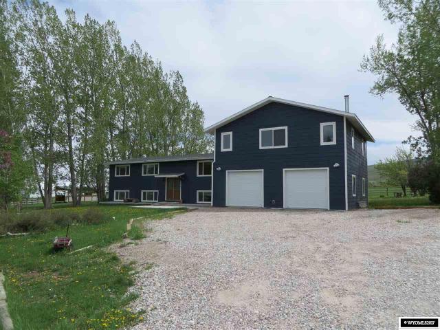 7 Blue Spruce