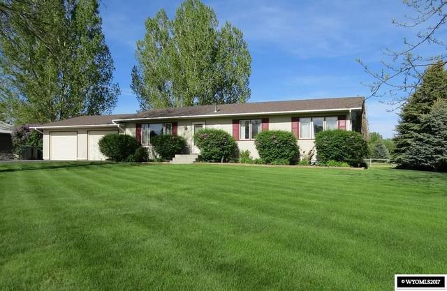 7 Blue Spruce
