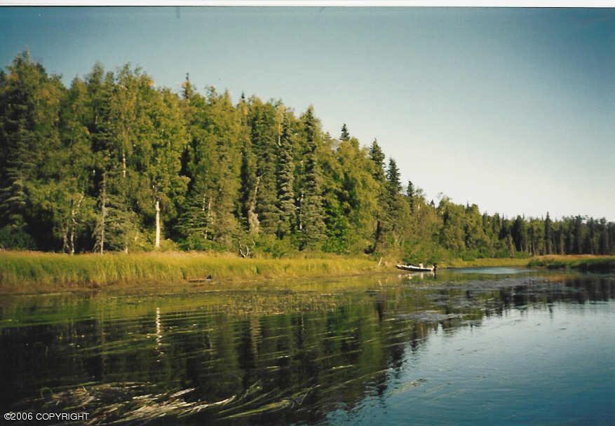 Tr B ASLS 91-198, Remote, United States 99000