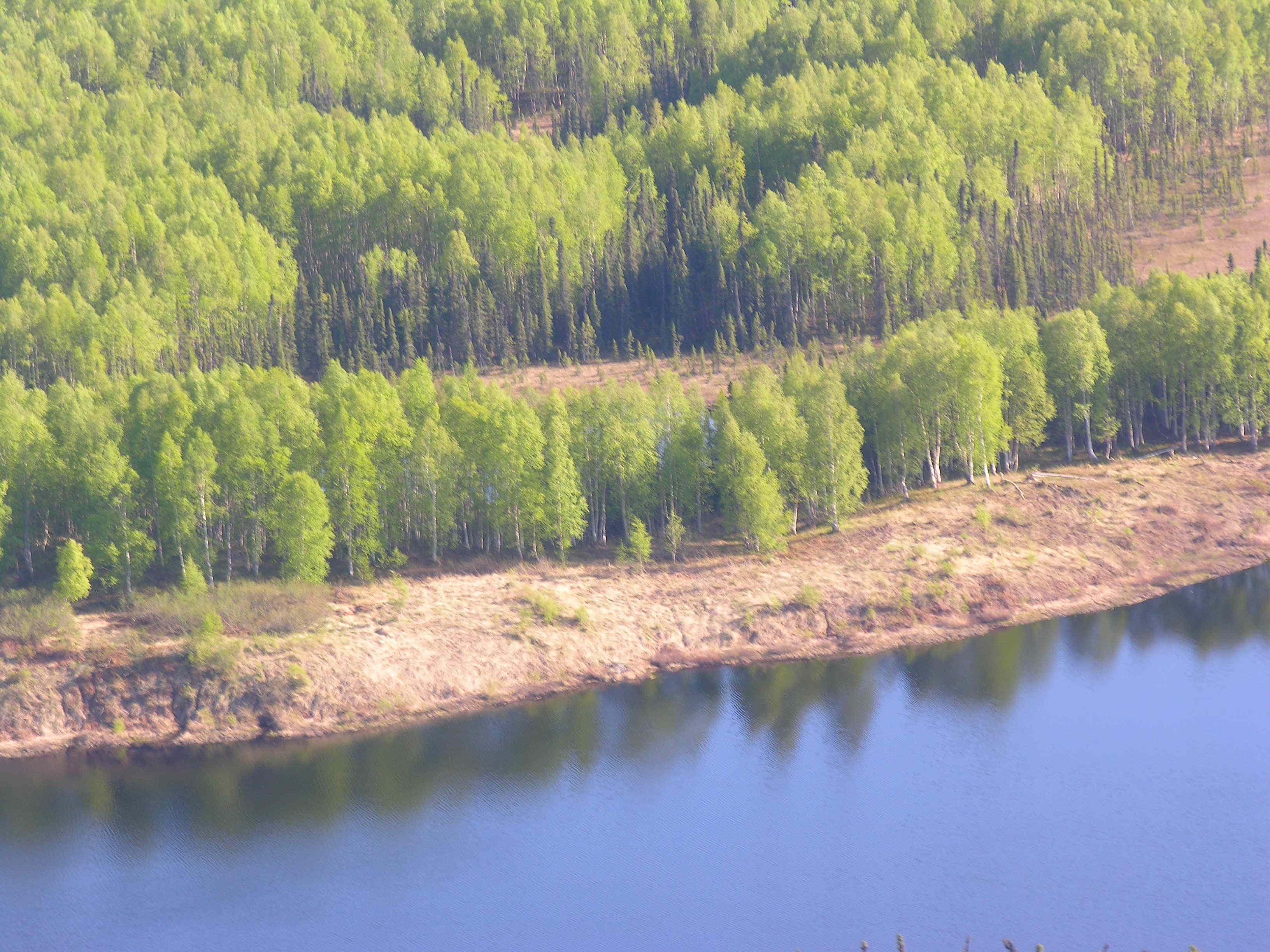 Tr A-E No Road, Remote, United States 99000