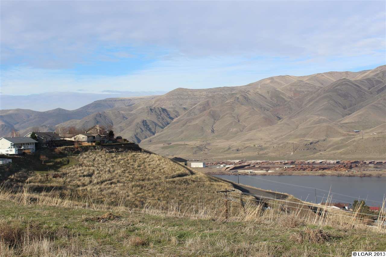 NNA Lots 1-3 Valleyview Drive, Clarkston, AK 99403