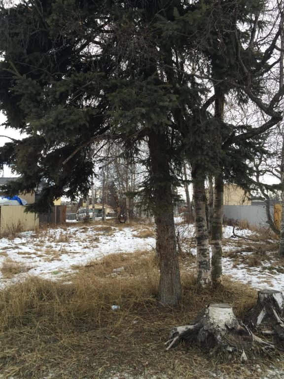 820 E 11th Avenue, Anchorage, AK 99501