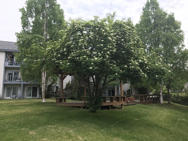 2875 W Intl Airport Unit D206Anchorage, AK, 99502Anchorage County