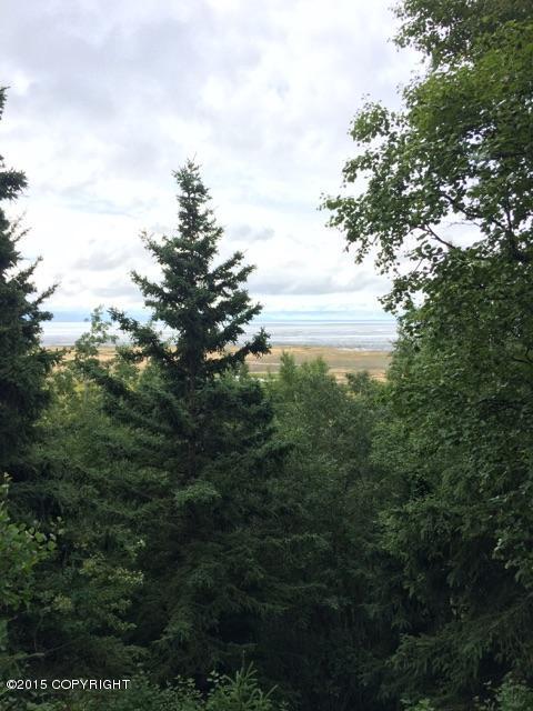 000 Shorecrest Drive, Anchorage, AK 99502