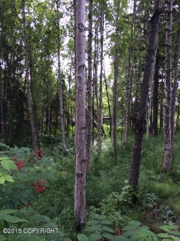 000 Shorecrest Drive, Anchorage, AK 99502