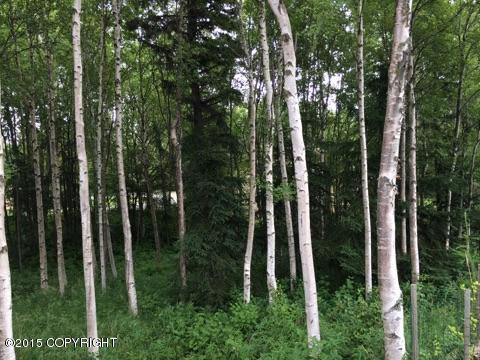 000 Shorecrest Drive, Anchorage, AK 99502