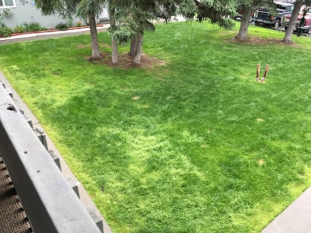 160 Grand Larry St Unit D-10Anchorage, AK, 99504Anchorage County