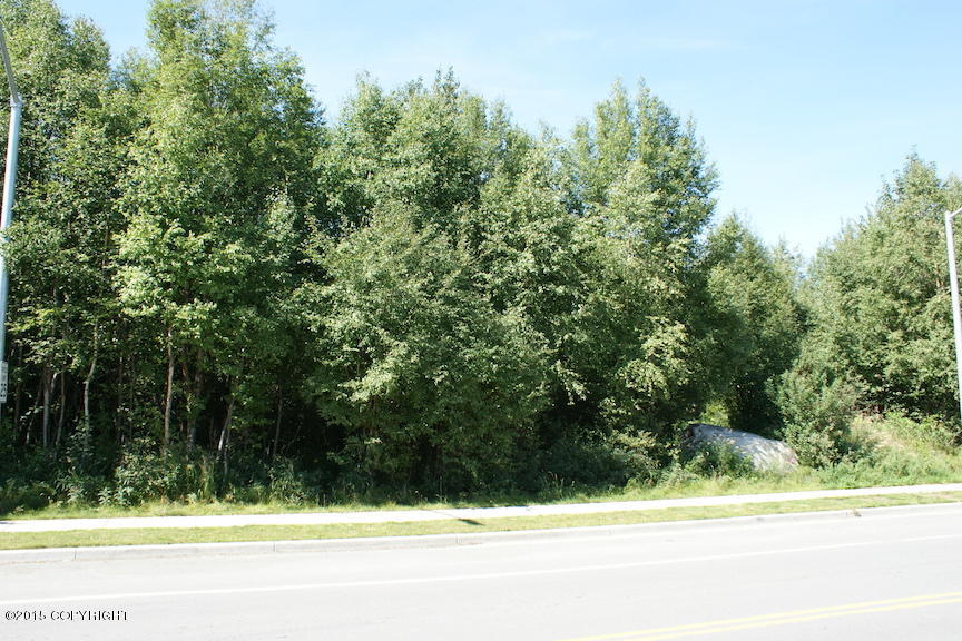 7200 Meadow Street, Anchorage, AK 99507
