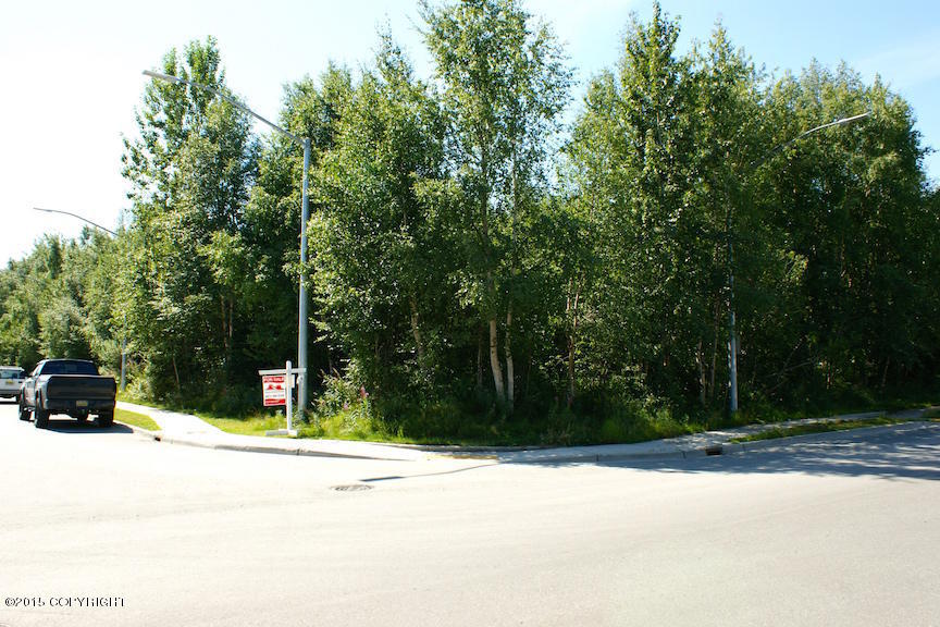 7230 Meadow Street, Anchorage, AK 99507