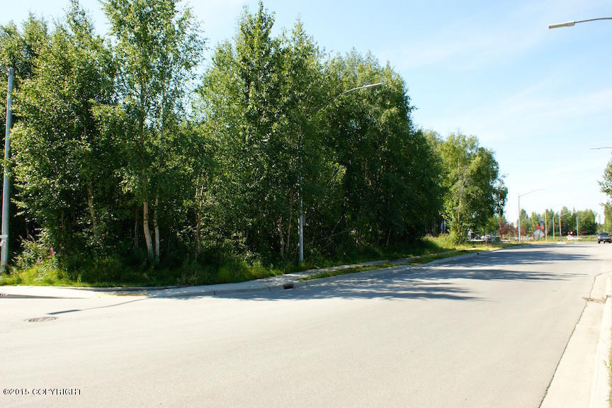 7230 Meadow Street, Anchorage, AK 99507