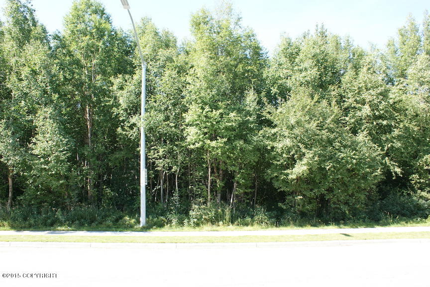 7230 Meadow Street, Anchorage, AK 99507