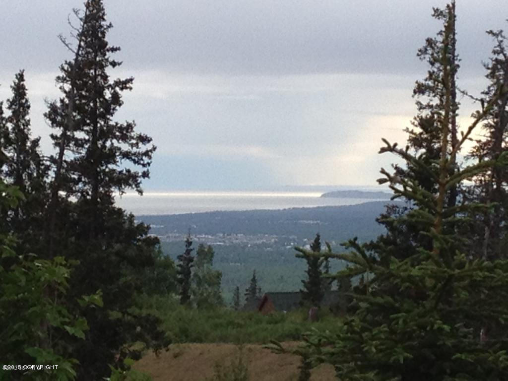 L1 B5 Middlerock Road, Anchorage, AK 99507