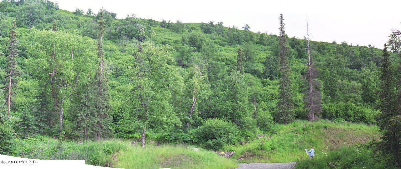 L1 B5 Middlerock Road, Anchorage, AK 99507