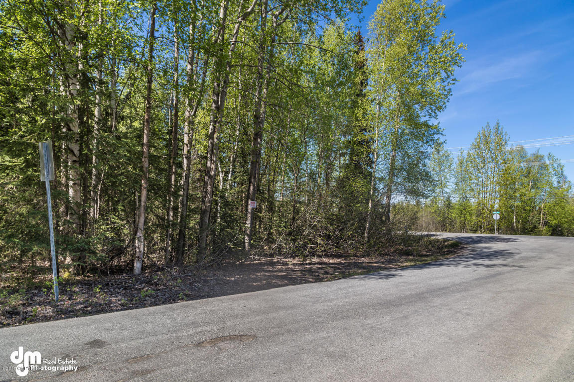 L9 Our Road, Anchorage, AK 99516