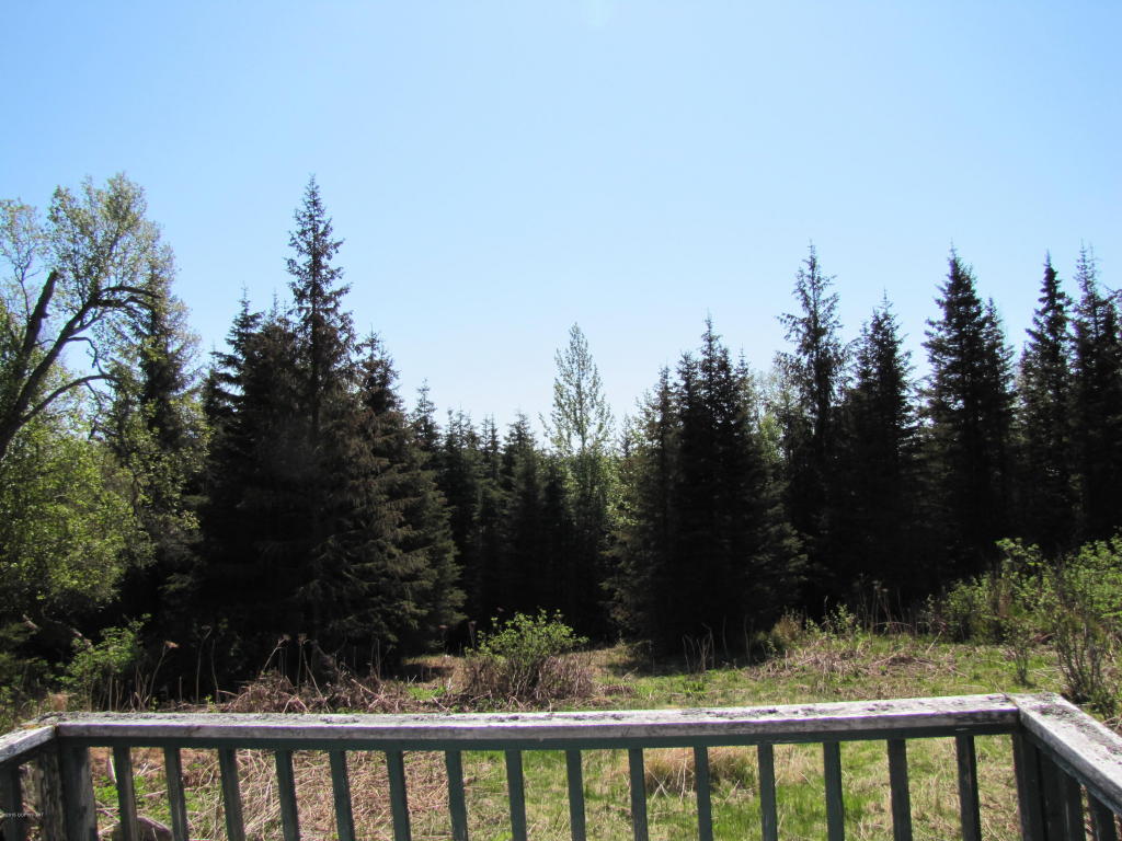65000 Jim Howard Road, Anchor Point, AK 99556