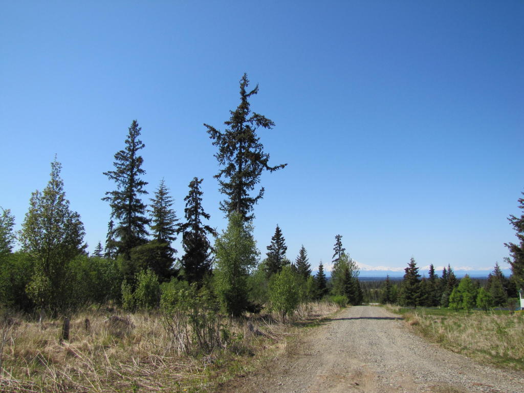 65000 Jim Howard Road, Anchor Point, AK 99556