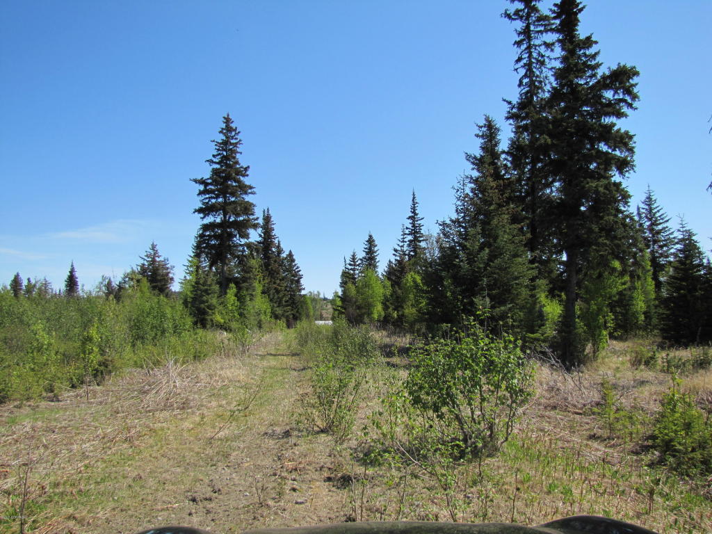 65000 Jim Howard Road, Anchor Point, AK 99556