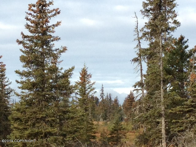L20AOpportunity Ln, Anchor Point, United States 99556