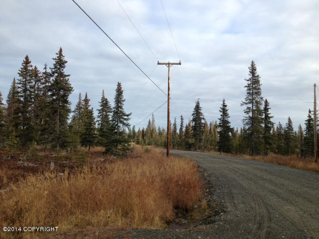 L20AOpportunity Ln, Anchor Point, United States 99556