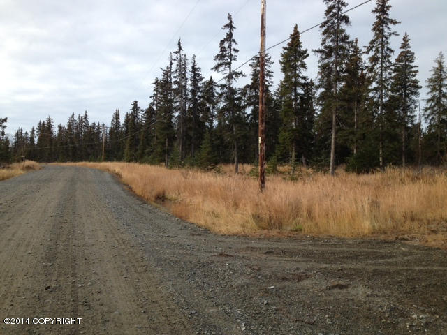 L20AOpportunity Ln, Anchor Point, United States 99556