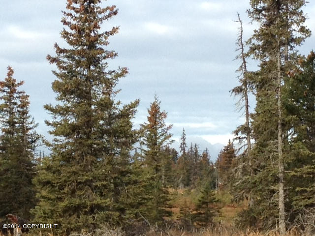 L20AOpportunity Ln, Anchor Point, United States 99556