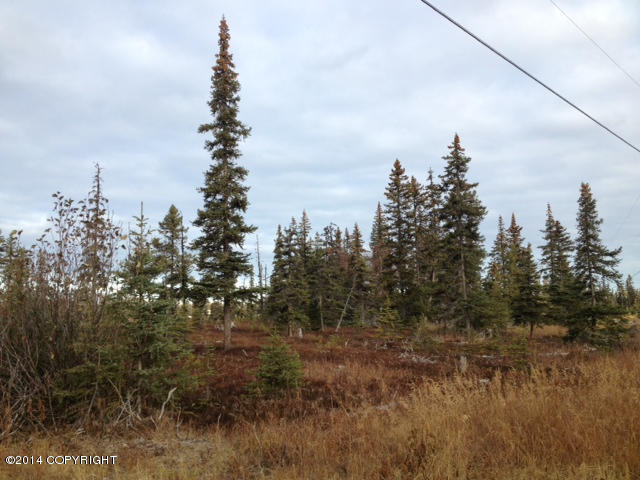 L20AOpportunity Ln, Anchor Point, United States 99556