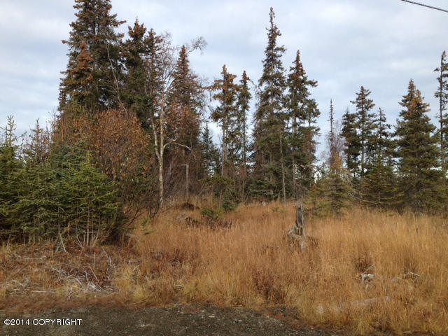 L20AOpportunity Ln, Anchor Point, United States 99556