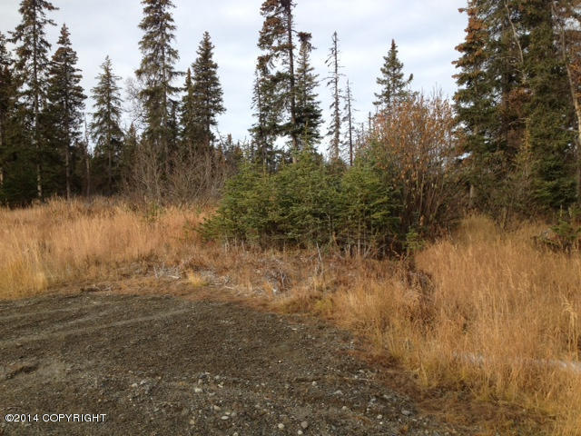 L20AOpportunity Ln, Anchor Point, United States 99556