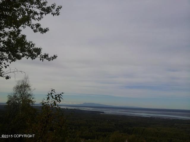 L15 B1 Sierra Mesa Circle, Chugiak, AK 99567