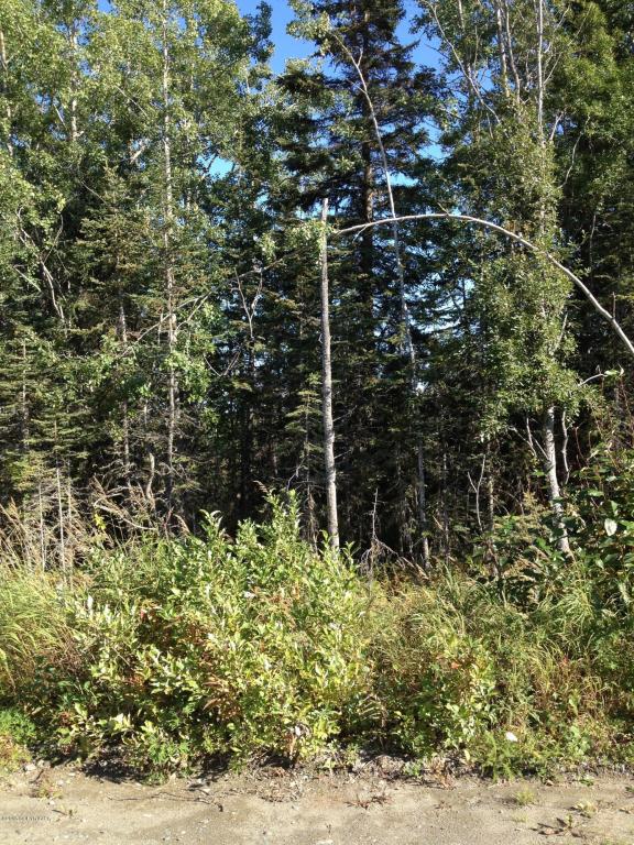 18112Loveall Loop, Clam Gulch, United States 99568