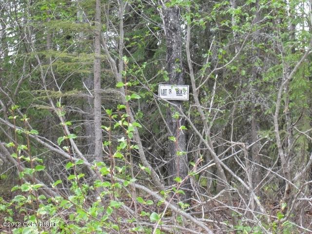 18264Loveall Loop, Clam Gulch, United States 99568