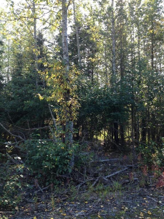 18264Loveall Loop, Clam Gulch, United States 99568
