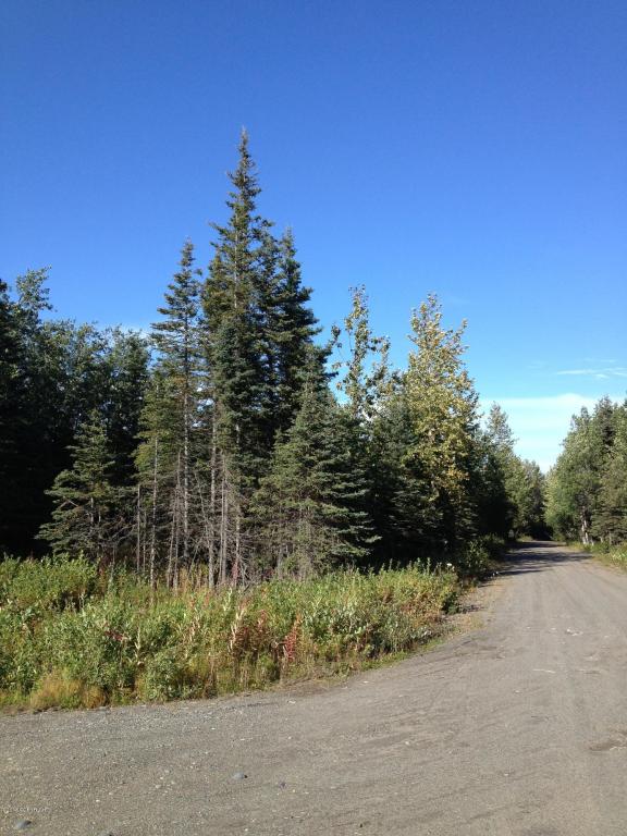 18264Loveall Loop, Clam Gulch, United States 99568