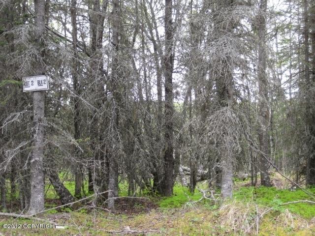 18360Loveall Loop, Clam Gulch, United States 99568