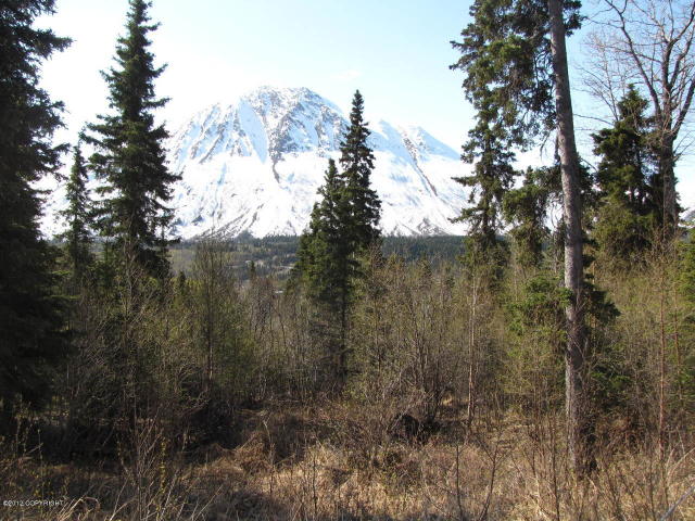L32 Langille Rd, Cooper Landing, United States 99572