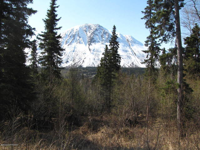L32 Langille Rd, Cooper Landing, United States 99572