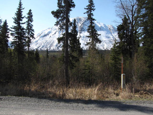 L32 Langille Rd, Cooper Landing, United States 99572