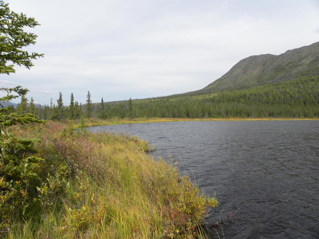 L15 Surprise Lake, Copper Center, AK 99573
