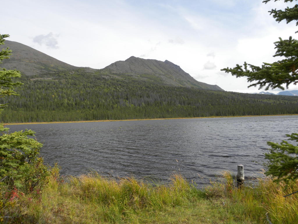L15 Surprise Lake, Copper Center, AK 99573