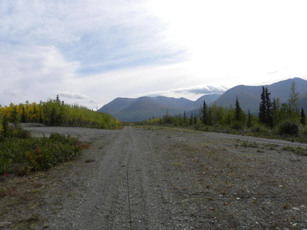 L14 Surprise Lake, Copper Center, AK 99573