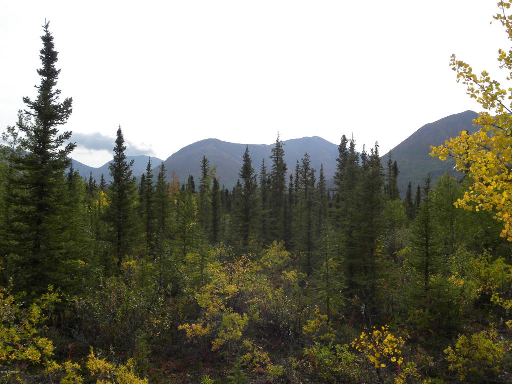 L14 Surprise Lake, Copper Center, AK 99573