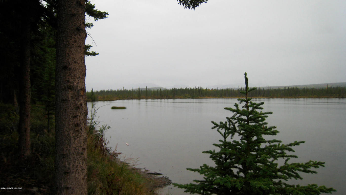 L4 B1 Willow lake, Copper Center, AK 99573