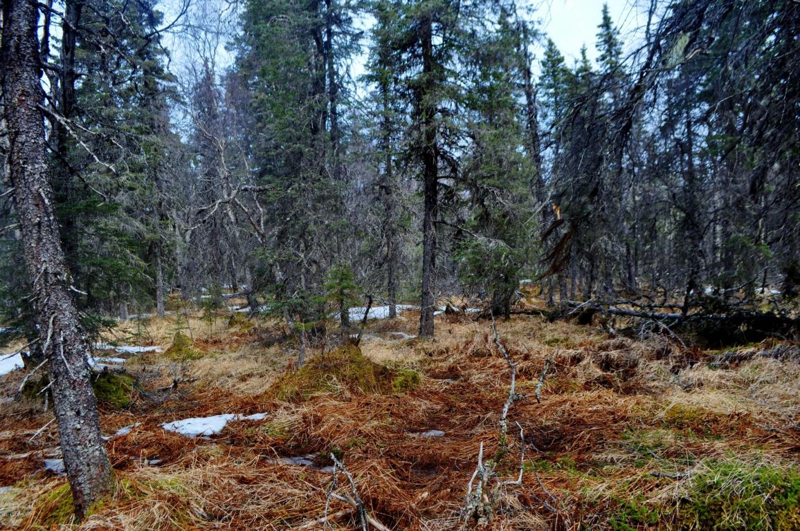 000 Alder Street, Dillingham, AK 99576