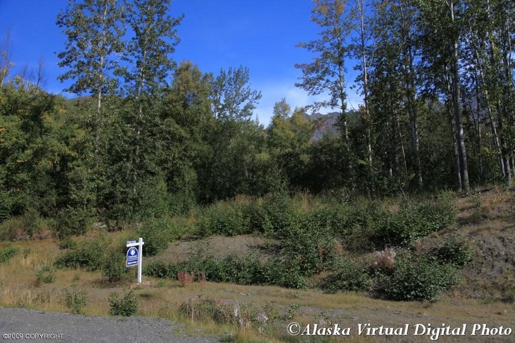 3463 Bear Ridge Circle, Eagle River, AK 99577