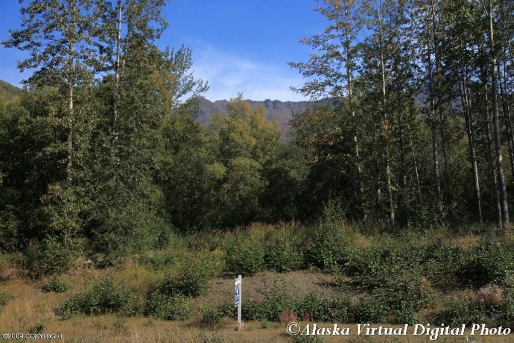 3463 Bear Ridge Circle, Eagle River, AK 99577