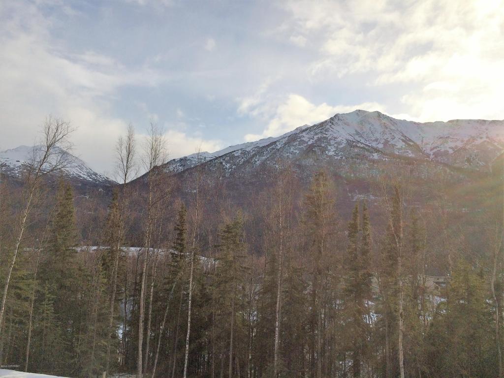 20239 Eagles Nest Court, Eagle River, AK 99577
