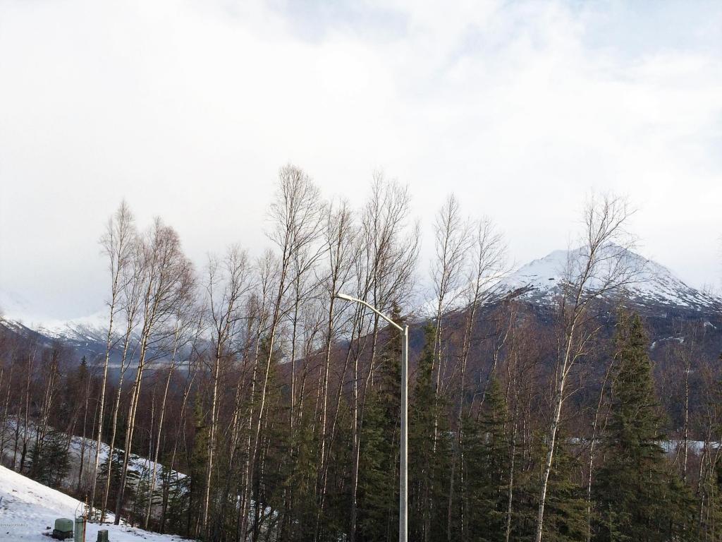 20239 Eagles Nest Court, Eagle River, AK 99577