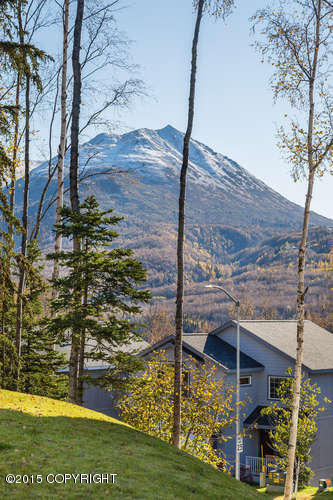 20170 Eagles Nest Court, Eagle River, AK 99577